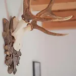 Apartment Payrgut Sankt Wolfgang im Salzkammergut