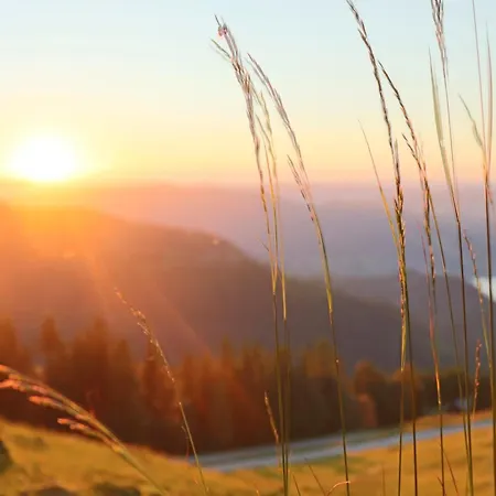 Payrgut Daire Saint Wolfgang