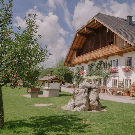 Payrgut Daire Saint Wolfgang