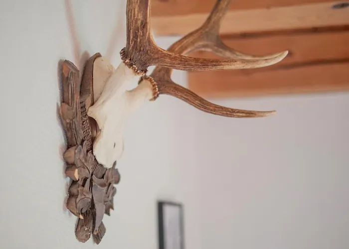 Daire Payrgut Saint Wolfgang