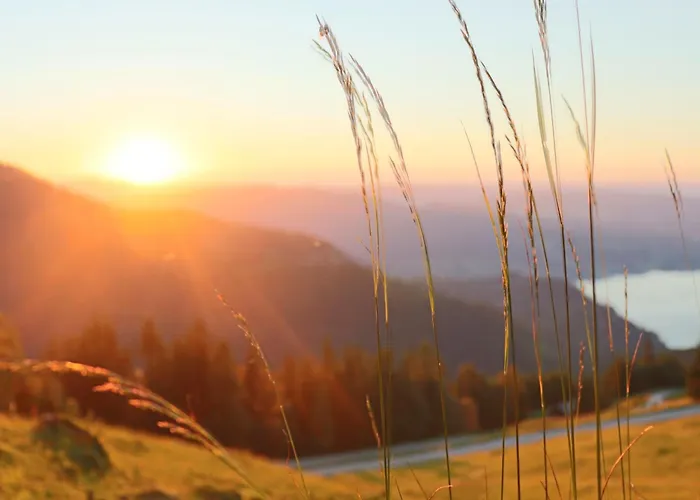 Payrgut Appartement Saint Wolfgang